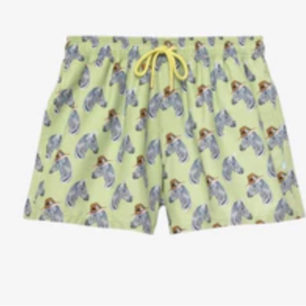 Posh Peanut Dante Men's Swim Trunks- NWT